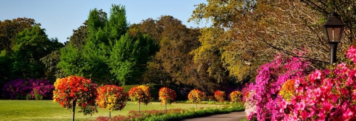 Kai Ellerbrock Baumschulen